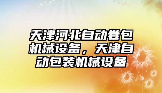 天津河北自動卷包機械設備，天津自動包裝機械設備