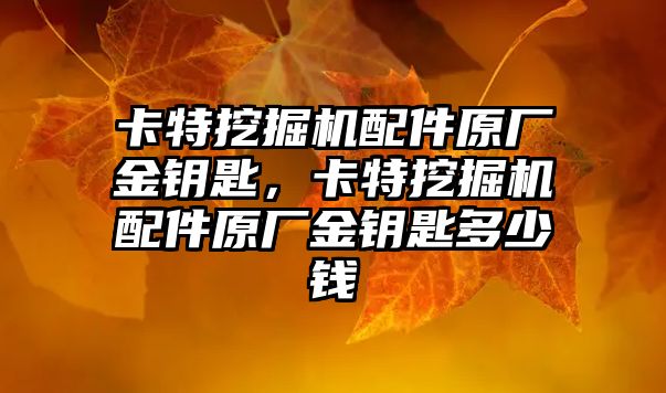 卡特挖掘機配件原廠金鑰匙，卡特挖掘機配件原廠金鑰匙多少錢