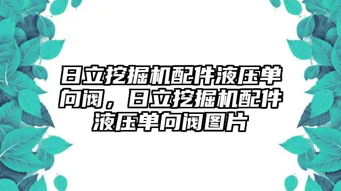 日立挖掘機配件液壓單向閥，日立挖掘機配件液壓單向閥圖片