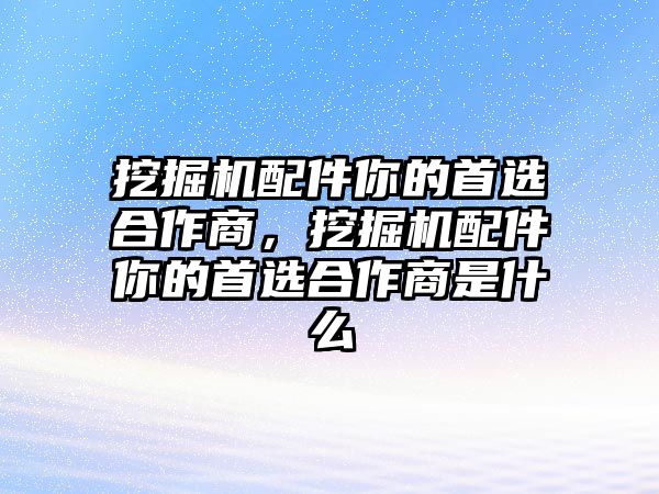 挖掘機(jī)配件你的首選合作商，挖掘機(jī)配件你的首選合作商是什么