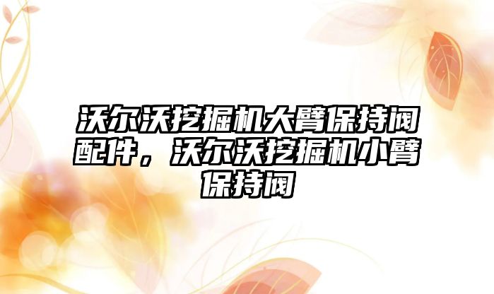 沃爾沃挖掘機大臂保持閥配件，沃爾沃挖掘機小臂保持閥