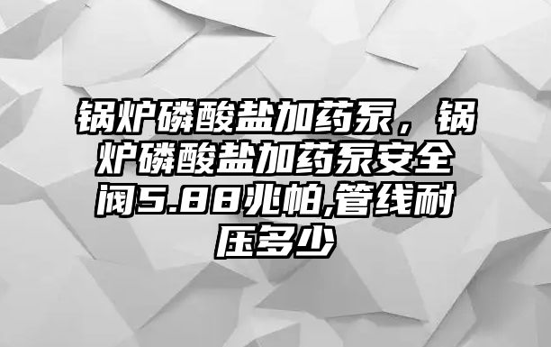 鍋爐磷酸鹽加藥泵，鍋爐磷酸鹽加藥泵安全閥5.88兆帕,管線耐壓多少