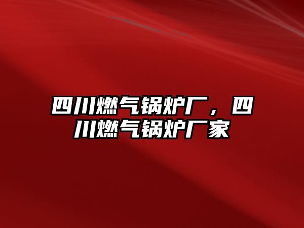 四川燃氣鍋爐廠，四川燃氣鍋爐廠家