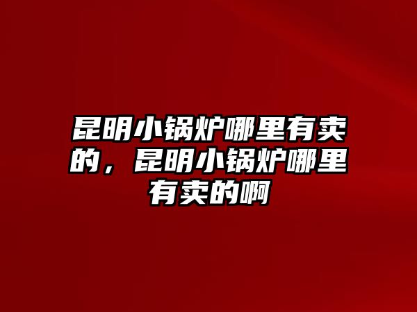 昆明小鍋爐哪里有賣的，昆明小鍋爐哪里有賣的啊