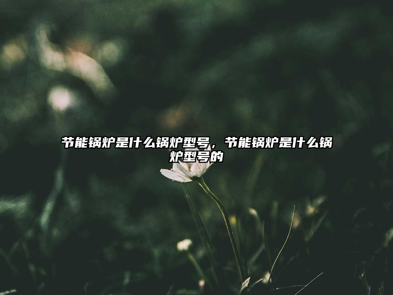 節(jié)能鍋爐是什么鍋爐型號，節(jié)能鍋爐是什么鍋爐型號的