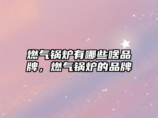 燃?xì)忮仩t有哪些啥品牌，燃?xì)忮仩t的品牌