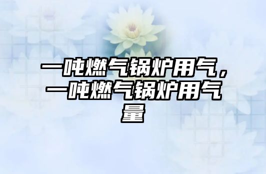 一噸燃?xì)忮仩t用氣，一噸燃?xì)忮仩t用氣量