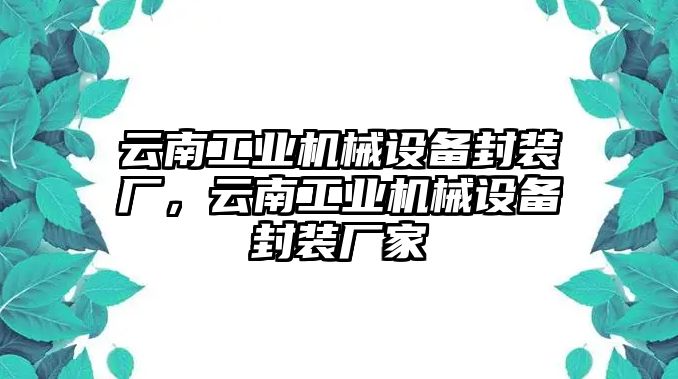 云南工業(yè)機械設(shè)備封裝廠，云南工業(yè)機械設(shè)備封裝廠家