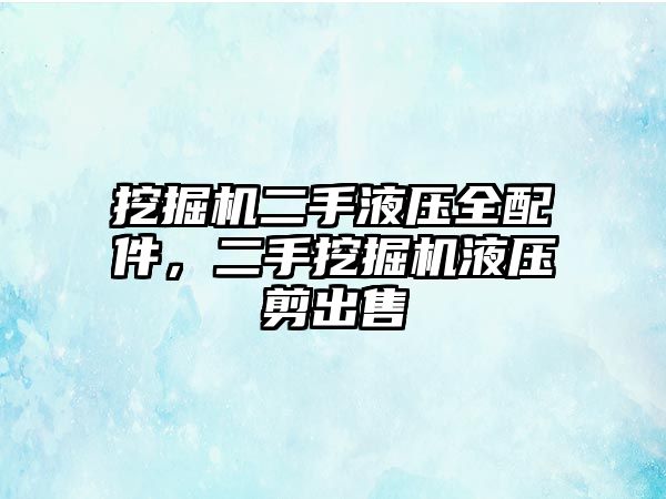 挖掘機二手液壓全配件，二手挖掘機液壓剪出售