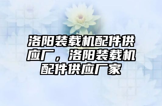 洛陽裝載機配件供應廠，洛陽裝載機配件供應廠家