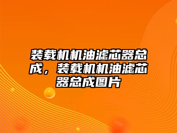 裝載機(jī)機(jī)油濾芯器總成，裝載機(jī)機(jī)油濾芯器總成圖片