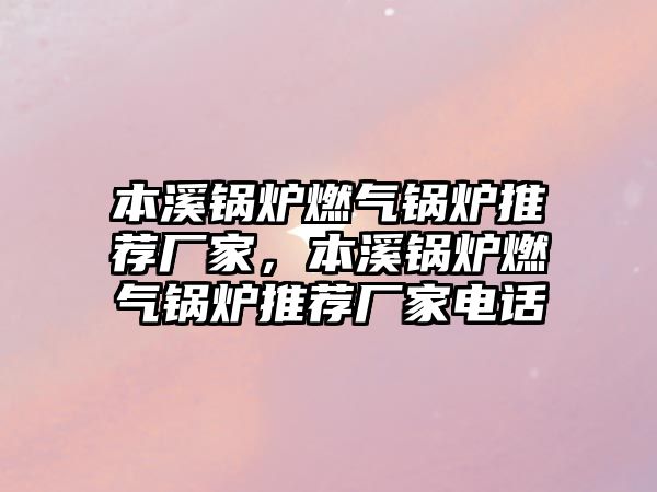 本溪鍋爐燃?xì)忮仩t推薦廠家，本溪鍋爐燃?xì)忮仩t推薦廠家電話