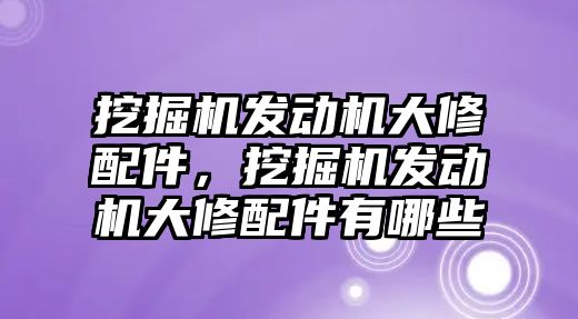 挖掘機發(fā)動機大修配件，挖掘機發(fā)動機大修配件有哪些