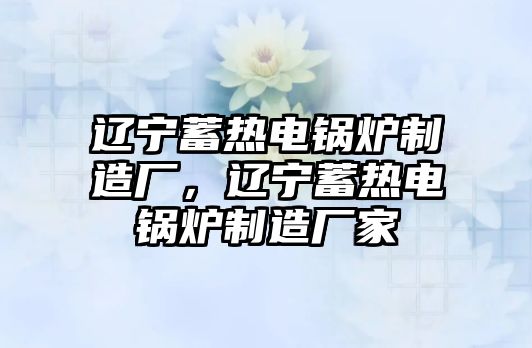 遼寧蓄熱電鍋爐制造廠，遼寧蓄熱電鍋爐制造廠家