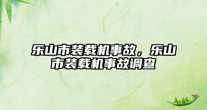 樂山市裝載機事故，樂山市裝載機事故調(diào)查