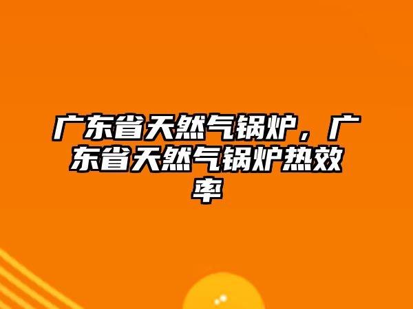 廣東省天然氣鍋爐，廣東省天然氣鍋爐熱效率