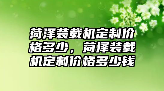 菏澤裝載機(jī)定制價(jià)格多少，菏澤裝載機(jī)定制價(jià)格多少錢(qián)