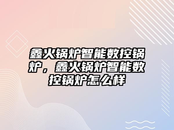 鑫火鍋爐智能數(shù)控鍋爐，鑫火鍋爐智能數(shù)控鍋爐怎么樣