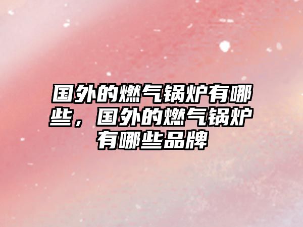 國外的燃?xì)忮仩t有哪些，國外的燃?xì)忮仩t有哪些品牌