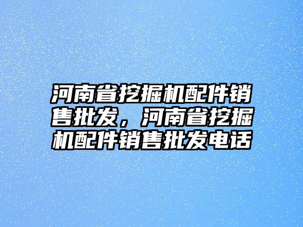 河南省挖掘機(jī)配件銷售批發(fā)，河南省挖掘機(jī)配件銷售批發(fā)電話