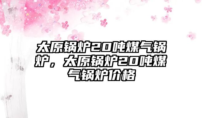 太原鍋爐20噸煤氣鍋爐，太原鍋爐20噸煤氣鍋爐價格