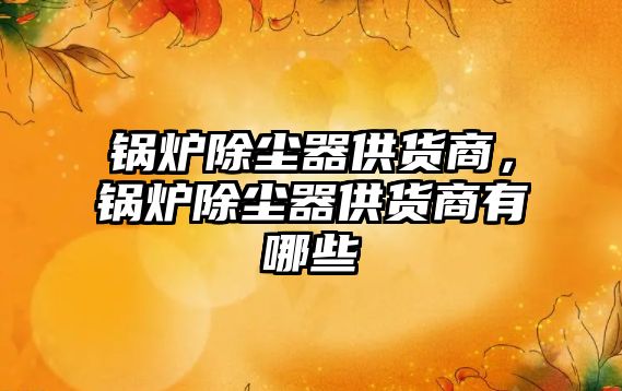 鍋爐除塵器供貨商，鍋爐除塵器供貨商有哪些