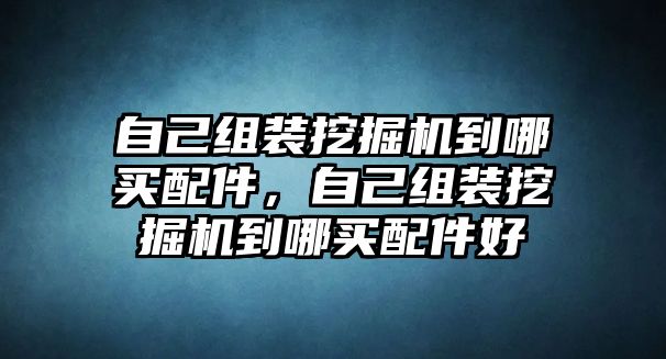 自己組裝挖掘機到哪買配件，自己組裝挖掘機到哪買配件好