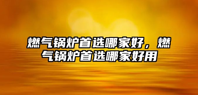 燃氣鍋爐首選哪家好，燃氣鍋爐首選哪家好用