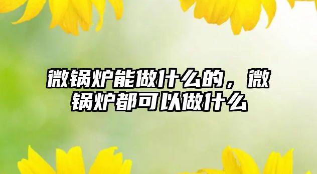 微鍋爐能做什么的，微鍋爐都可以做什么