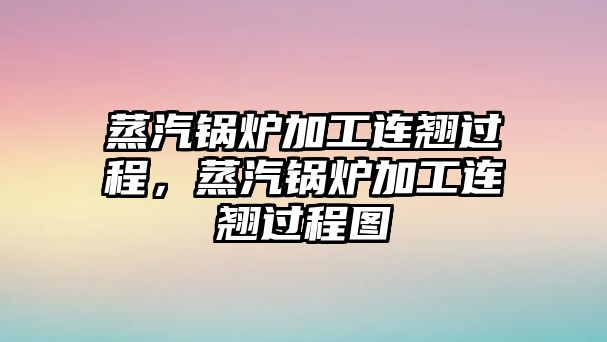 蒸汽鍋爐加工連翹過程，蒸汽鍋爐加工連翹過程圖