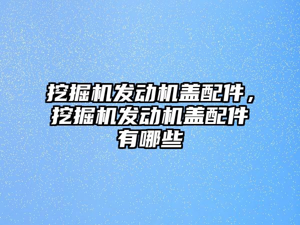 挖掘機(jī)發(fā)動(dòng)機(jī)蓋配件，挖掘機(jī)發(fā)動(dòng)機(jī)蓋配件有哪些