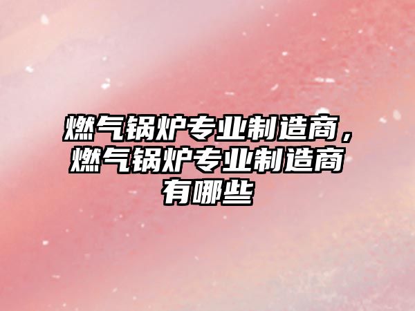 燃?xì)忮仩t專業(yè)制造商，燃?xì)忮仩t專業(yè)制造商有哪些