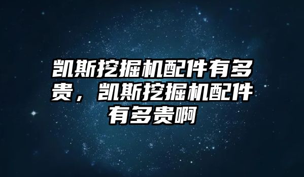 凱斯挖掘機配件有多貴，凱斯挖掘機配件有多貴啊