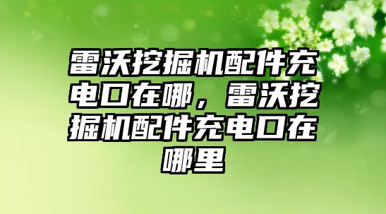 雷沃挖掘機(jī)配件充電口在哪，雷沃挖掘機(jī)配件充電口在哪里