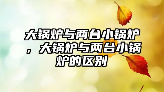 大鍋爐與兩臺小鍋爐，大鍋爐與兩臺小鍋爐的區(qū)別