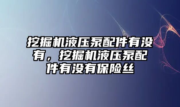 挖掘機液壓泵配件有沒有，挖掘機液壓泵配件有沒有保險絲