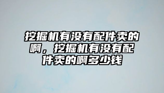 挖掘機有沒有配件賣的啊，挖掘機有沒有配件賣的啊多少錢