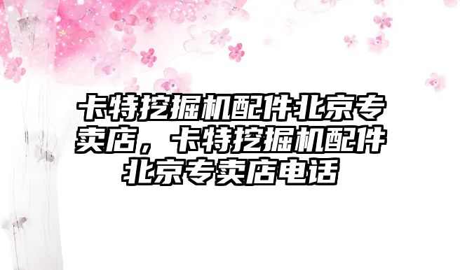 卡特挖掘機配件北京專賣店，卡特挖掘機配件北京專賣店電話