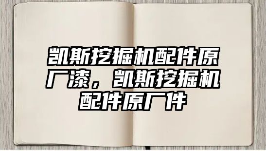 凱斯挖掘機配件原廠漆，凱斯挖掘機配件原廠件