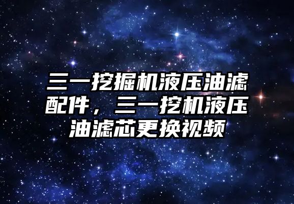 三一挖掘機液壓油濾配件，三一挖機液壓油濾芯更換視頻