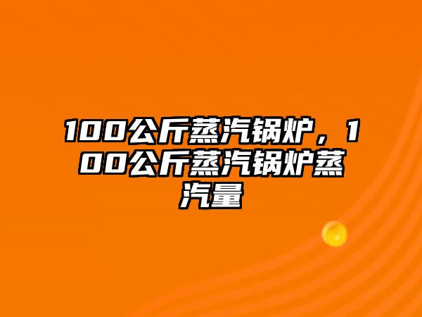 100公斤蒸汽鍋爐，100公斤蒸汽鍋爐蒸汽量