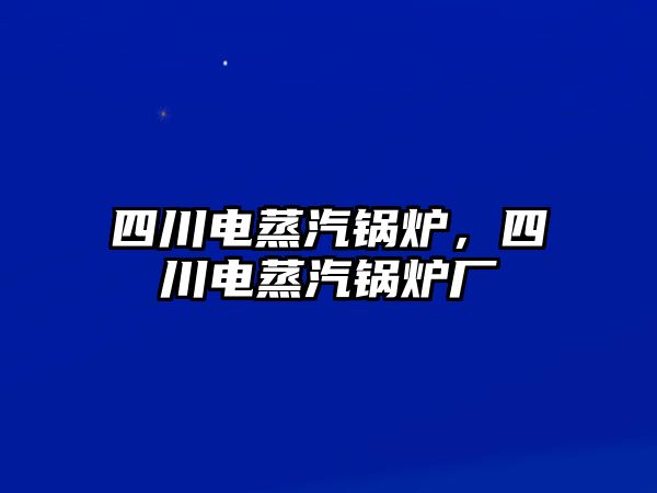 四川電蒸汽鍋爐，四川電蒸汽鍋爐廠