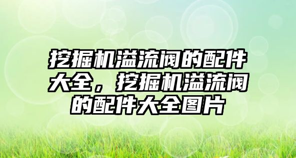 挖掘機溢流閥的配件大全，挖掘機溢流閥的配件大全圖片