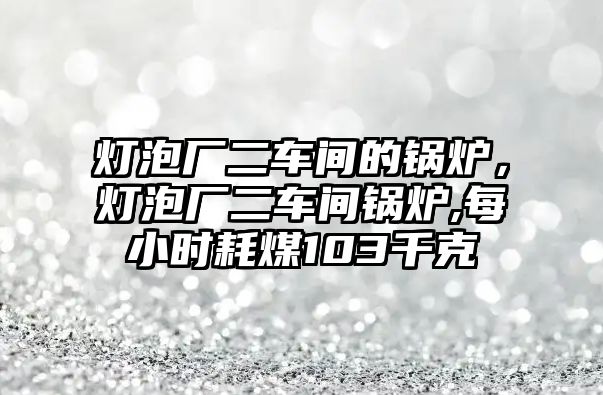 燈泡廠二車間的鍋爐，燈泡廠二車間鍋爐,每小時(shí)耗煤103千克