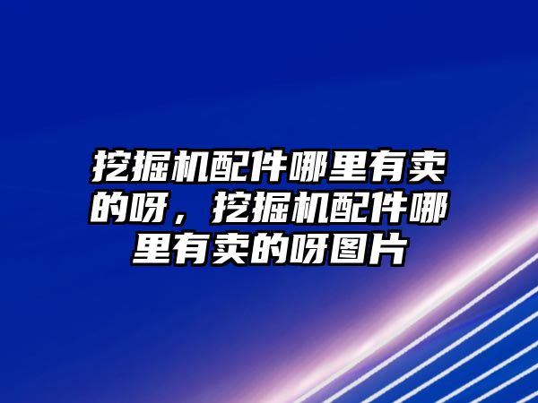 挖掘機(jī)配件哪里有賣的呀，挖掘機(jī)配件哪里有賣的呀圖片