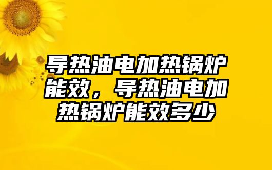 導熱油電加熱鍋爐能效，導熱油電加熱鍋爐能效多少