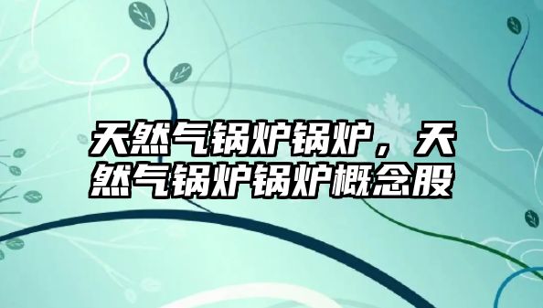 天然氣鍋爐鍋爐，天然氣鍋爐鍋爐概念股