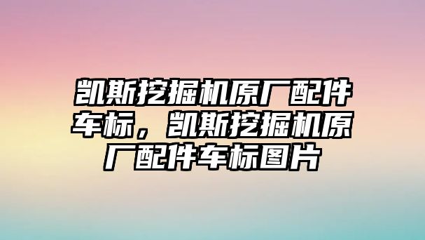 凱斯挖掘機原廠配件車標，凱斯挖掘機原廠配件車標圖片