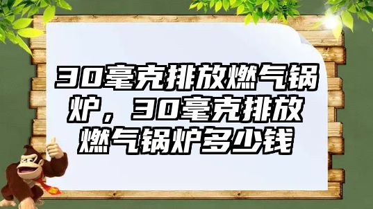 30毫克排放燃?xì)忮仩t，30毫克排放燃?xì)忮仩t多少錢