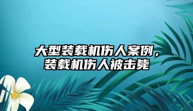 大型裝載機傷人案例，裝載機傷人被擊斃